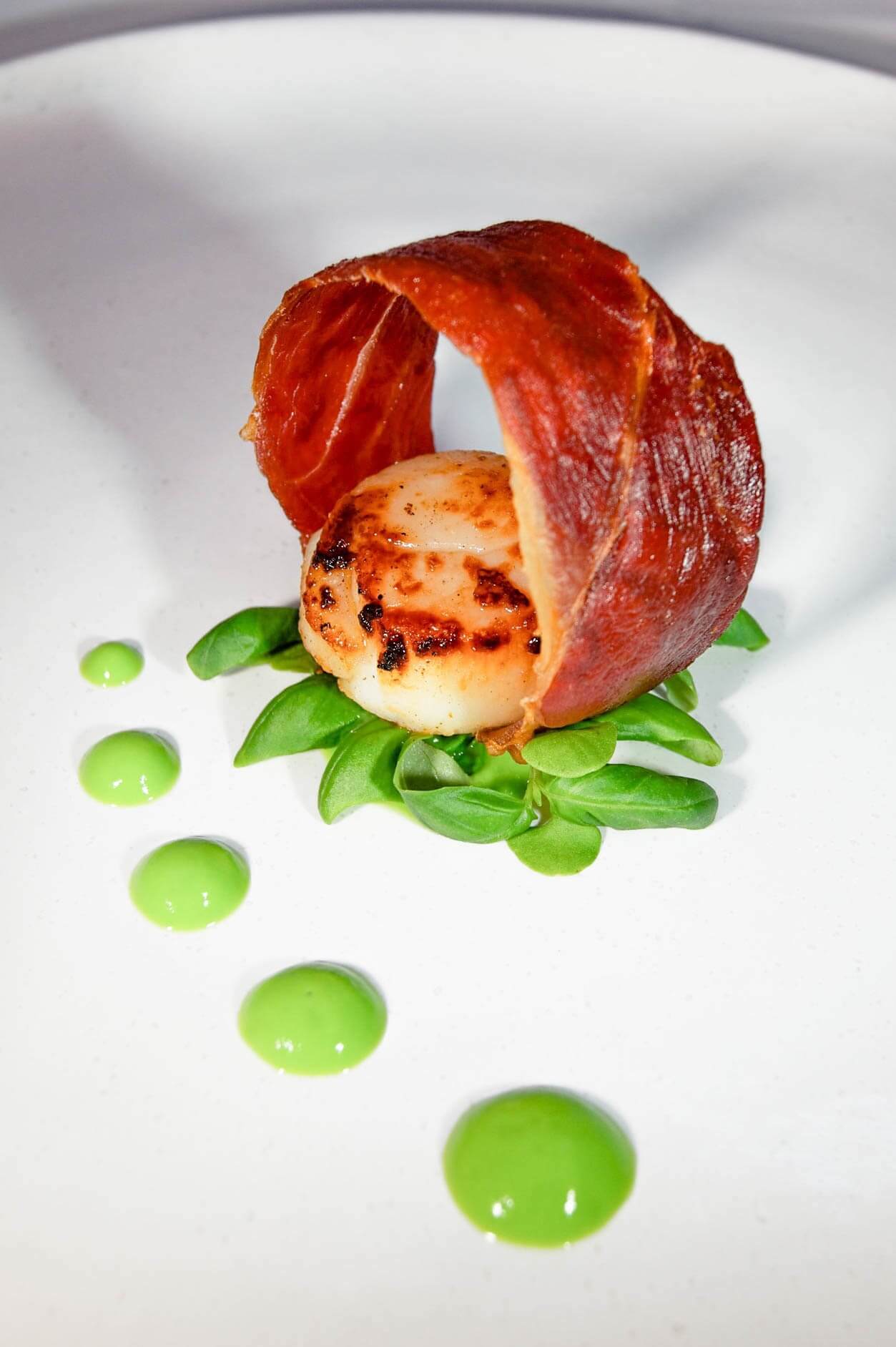 Scallops Unveiled Prepare To Be Shocked By What They Actually Look Like - 3k77qin
