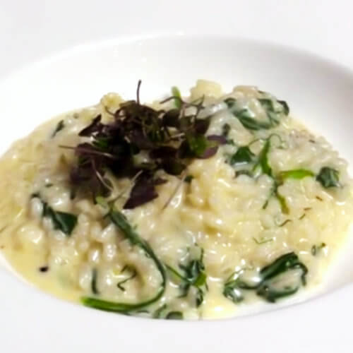 Risotto