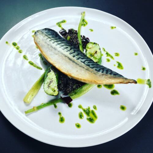 Tea - smoked Mackerel