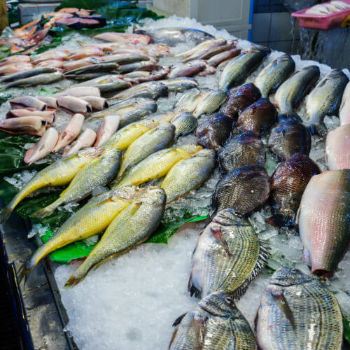 Fish - buying guide