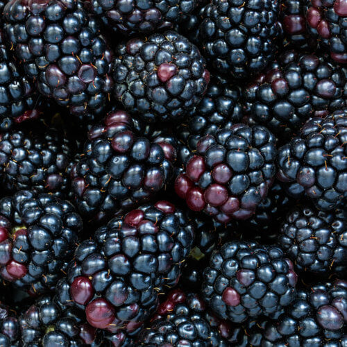 Blackberries