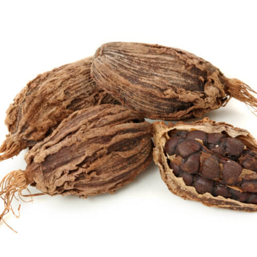 Black cardamom