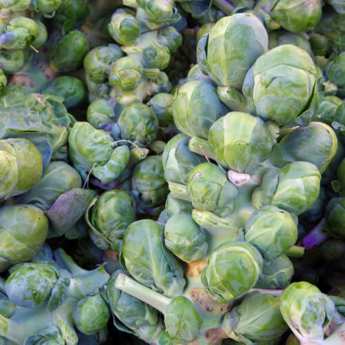 Brussel sprouts