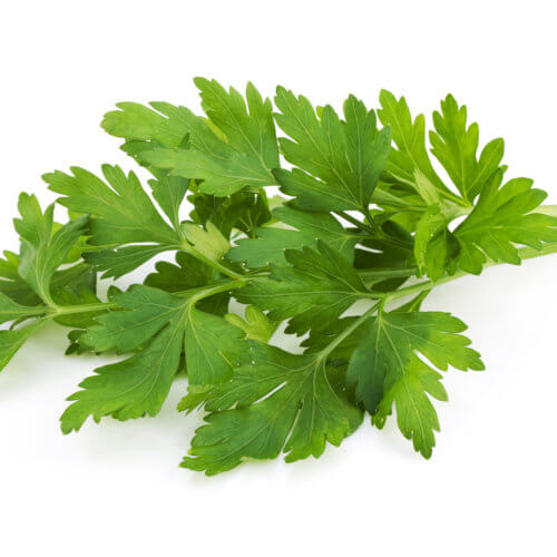 Parsley