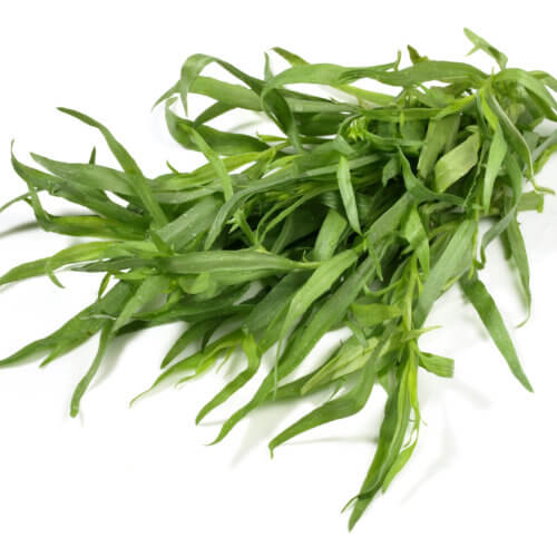 Tarragon