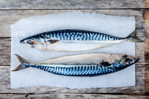 Two raw fresh mackerel fishes on a paper on wooden table