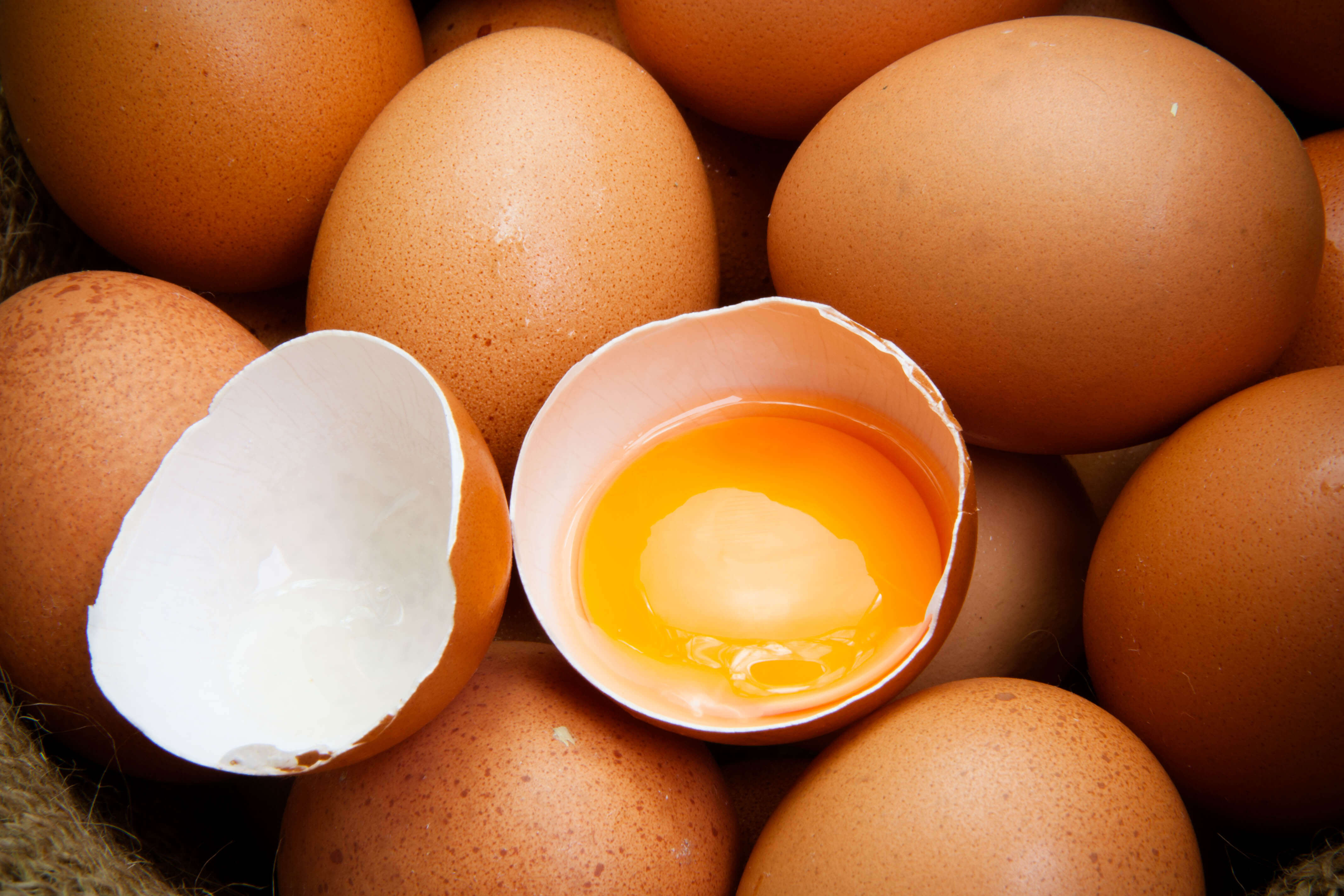 Пить домашние яйца. Яйцо куриное. Домашние яйца. Желток куриного яйца. Яйцо домашнее куриное.