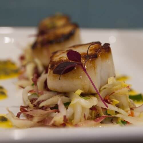 Scallops with Chicory and Yuzu Dressing