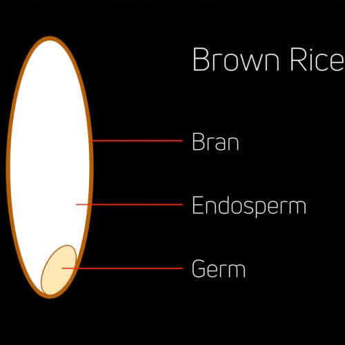 Brown rice