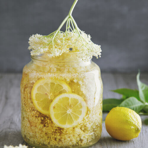 Elderflower cordial