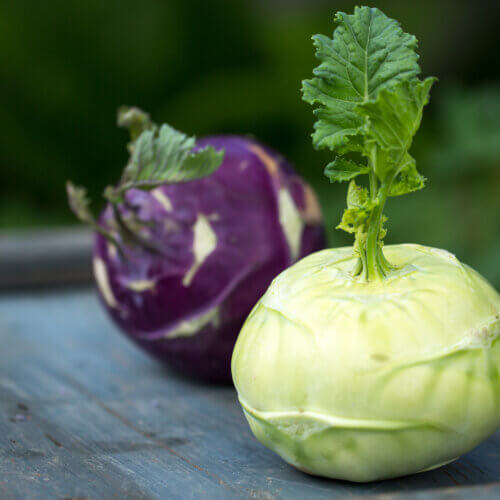 Kohlrabi